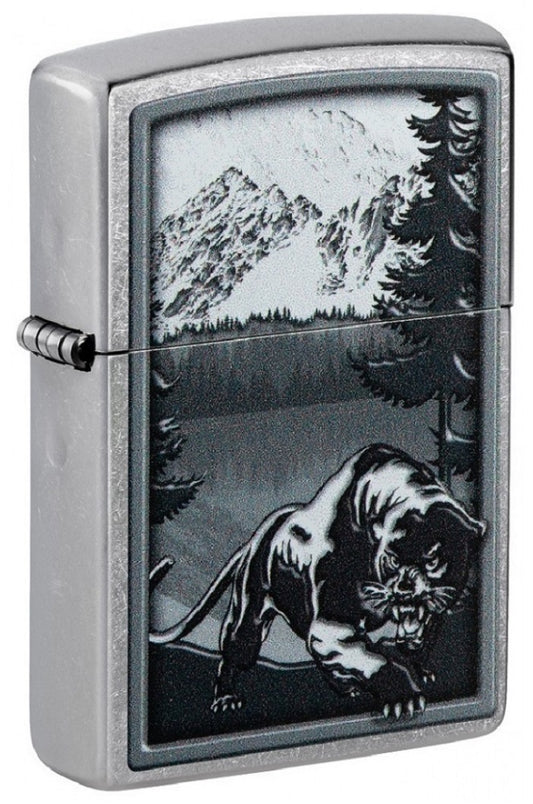 Mountain Lion Design